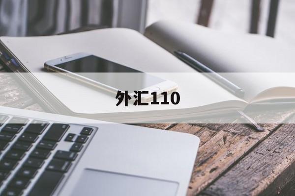 外汇110(外汇110官方网站查询)